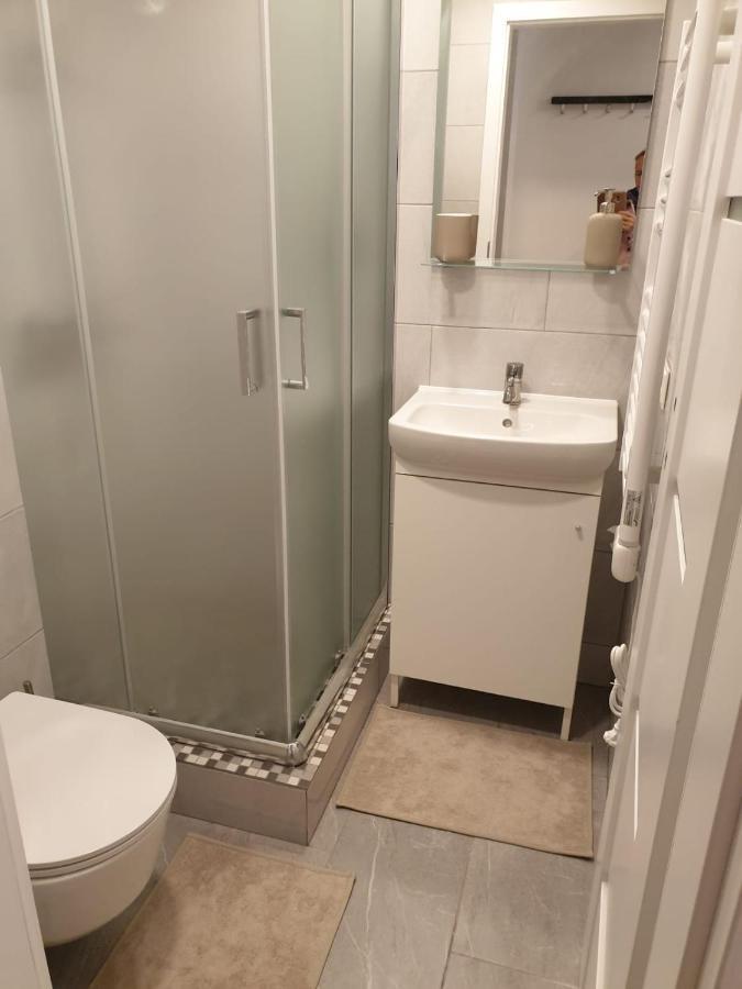 Studio Rent In Зарасай Екстериор снимка