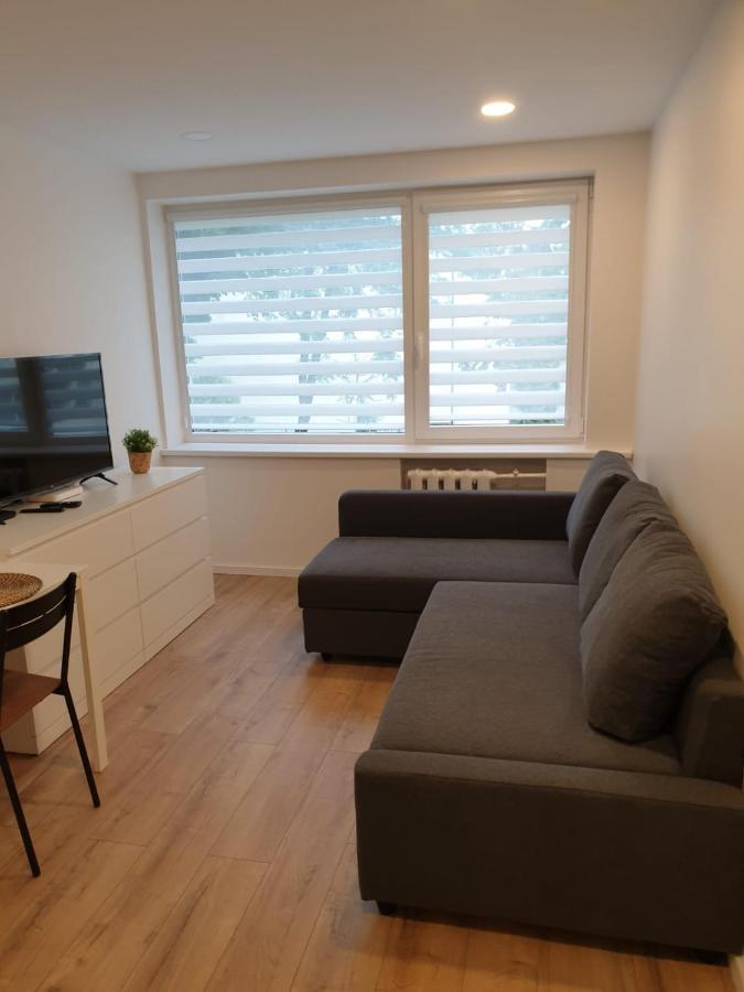Studio Rent In Зарасай Екстериор снимка